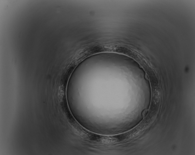 X0000097960707200804011658