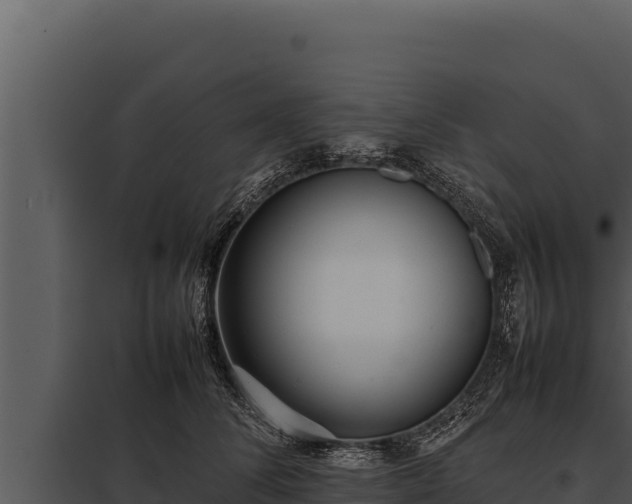 X0000097960708200804011658