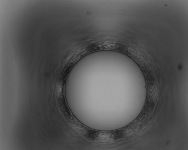 X0000097960709200804011658