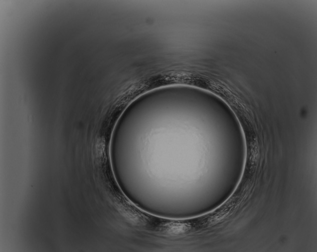 X0000097960711200804011658