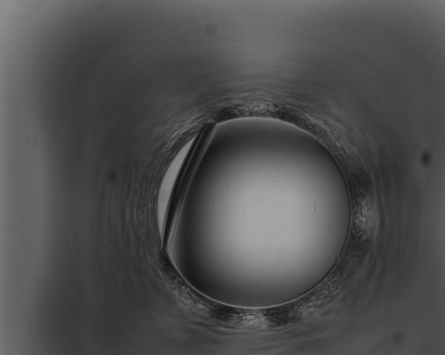 X0000097960715200804011658