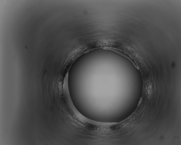 X0000097960716200804011658