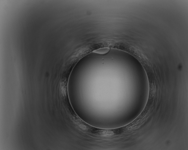X0000097960719200804011658