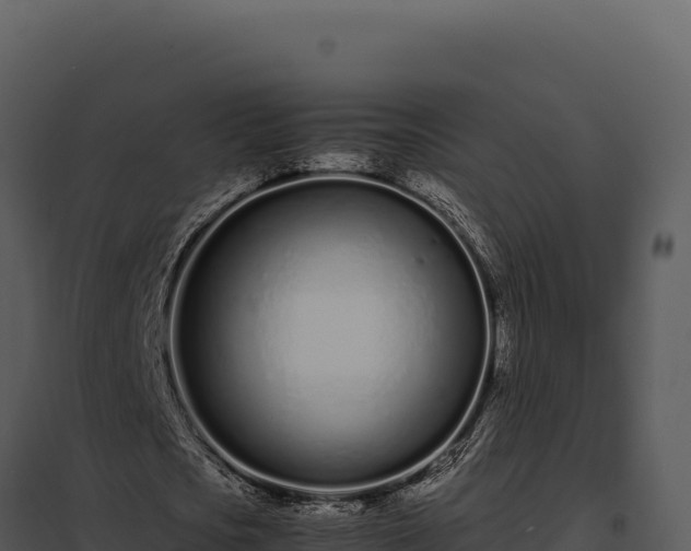 X0000097960721200804011657