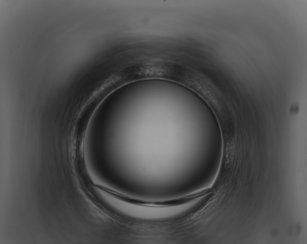 X0000097960722200804011657