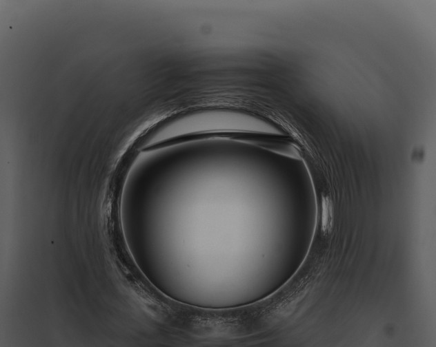 X0000097960723200804011657