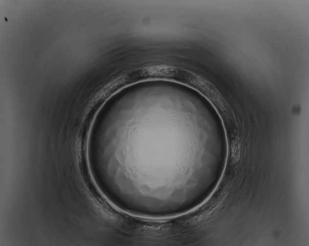 X0000097960725200804011657