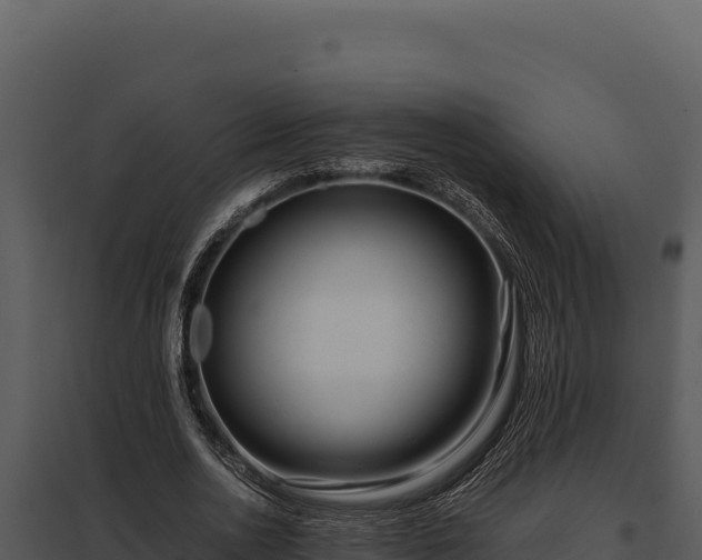 X0000097960726200804011657