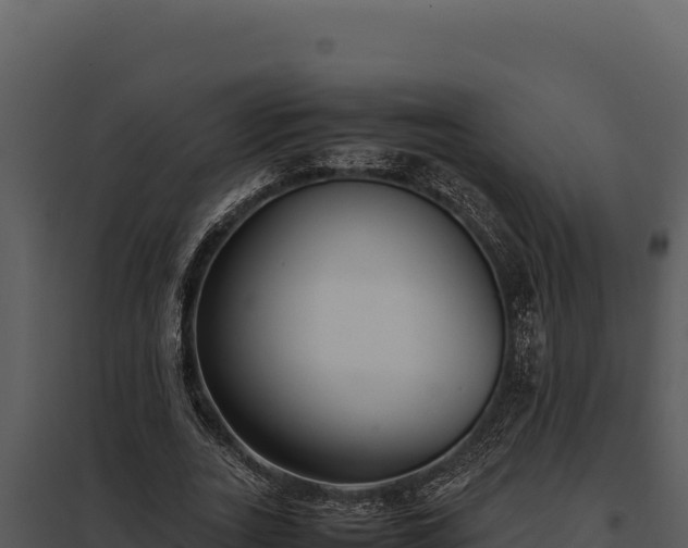 X0000097960727200804011657