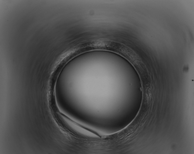 X0000097960728200804011657