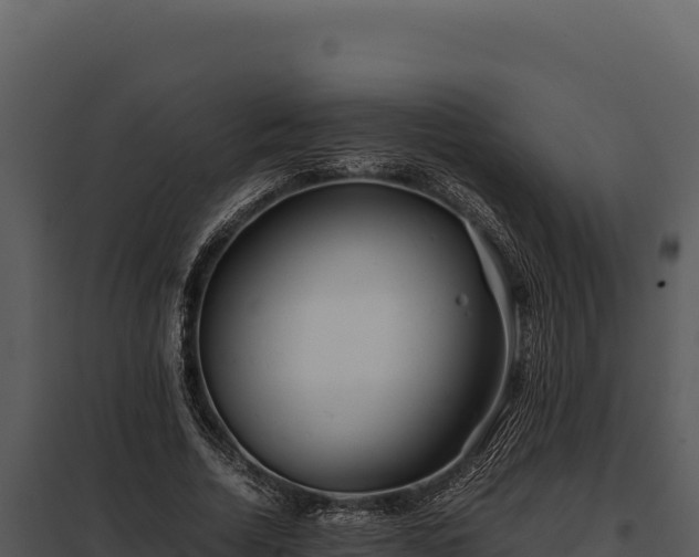X0000097960730200804011657