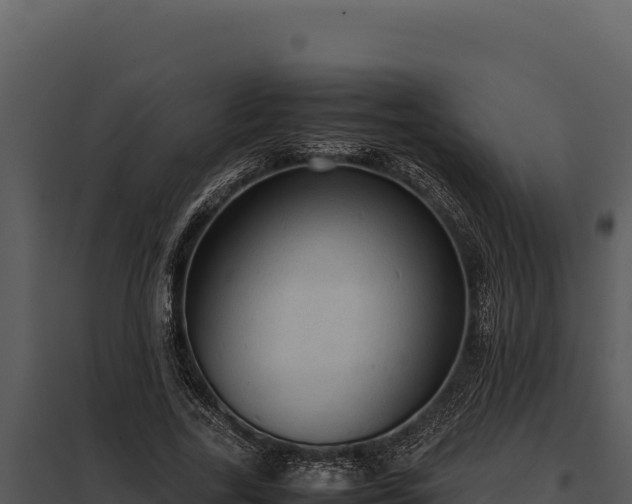 X0000097960731200804011657