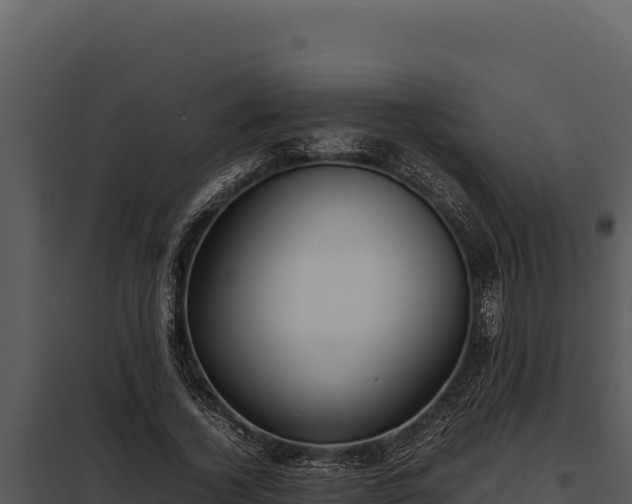 X0000097960732200804011657