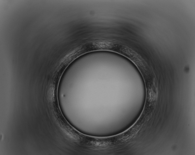 X0000097960733200804011657