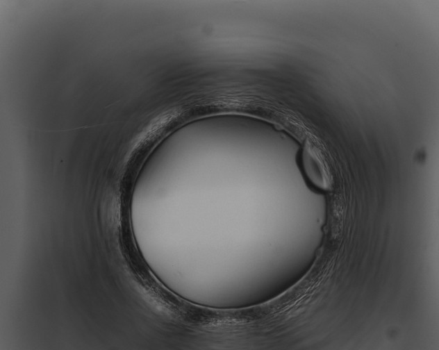 X0000097960734200804011657