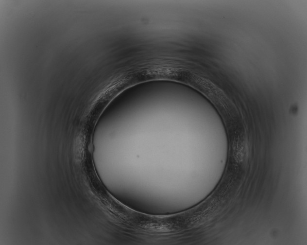 X0000097960735200804011657