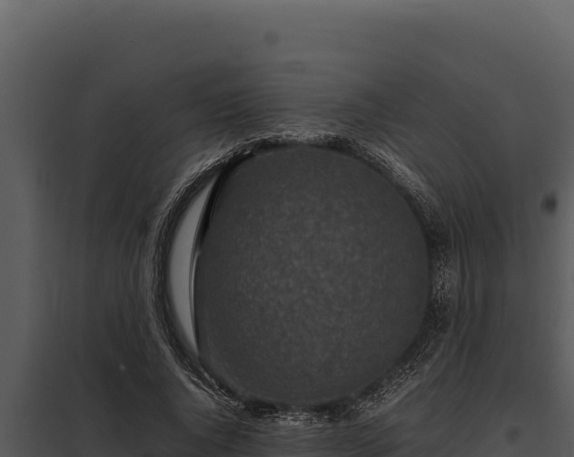 X0000097960736200804011657