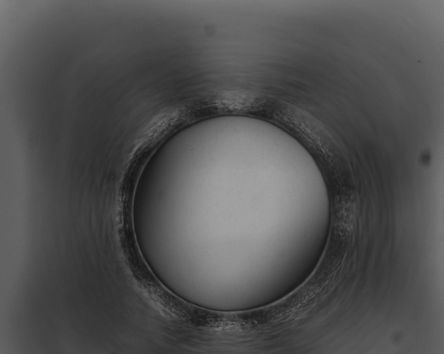 X0000097960738200804011657