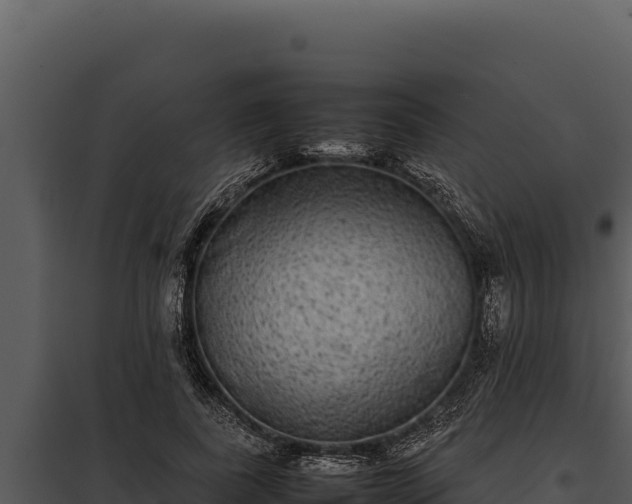 X0000097960739200804011657