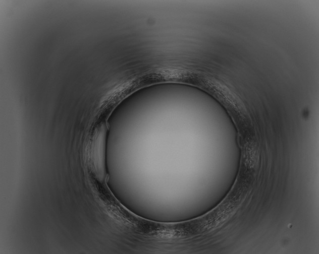 X0000097960740200804011657
