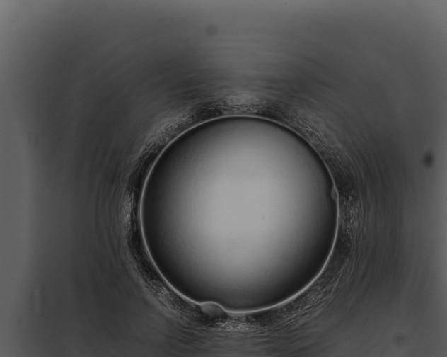 X0000097960742200804011657