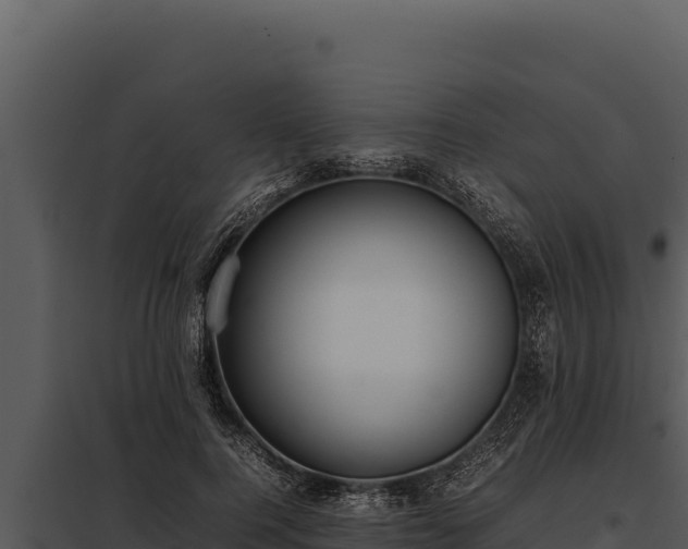 X0000097960744200804011657