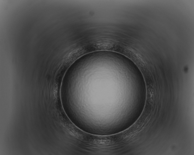 X0000097960745200804011657