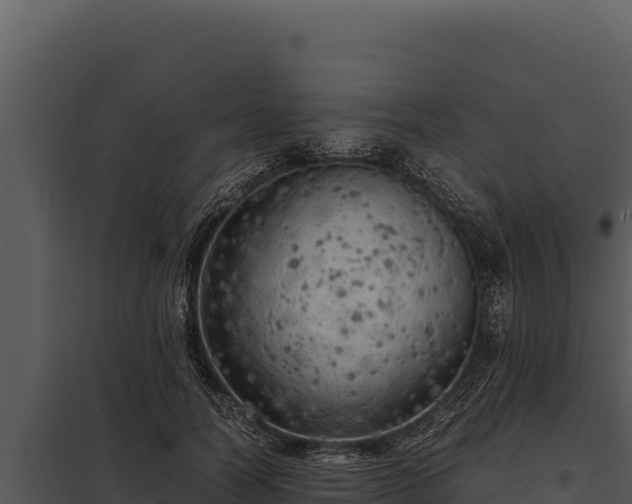 X0000097960746200804011657