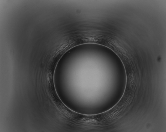 X0000097960747200804011657