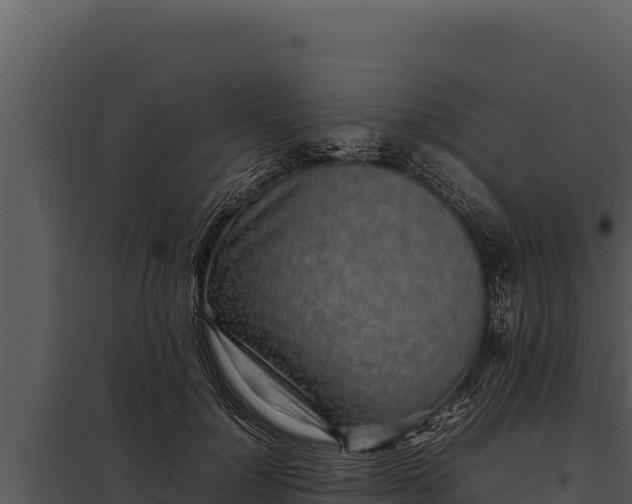 X0000097960748200804011657
