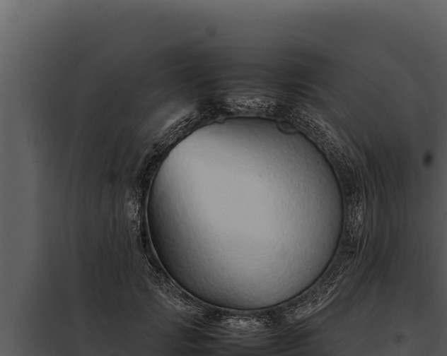 X0000097960749200804011657