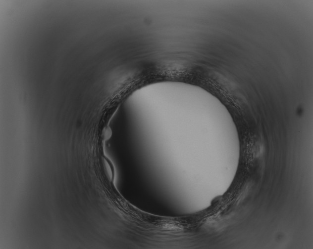 X0000097960750200804011657