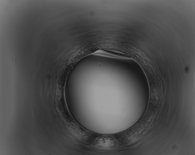 X0000097960751200804011657