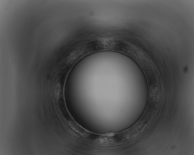 X0000097960752200804011657