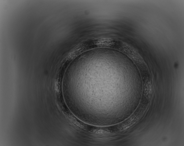 X0000097960755200804011657