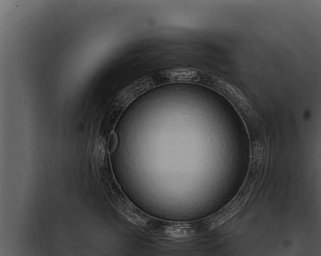 X0000097960761200804011658