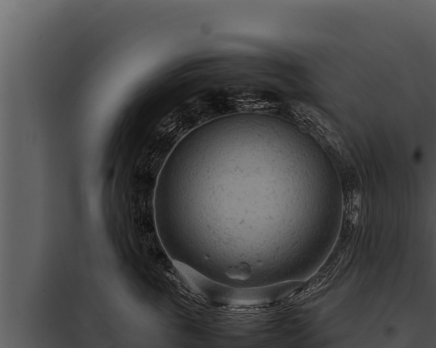 X0000097960763200804011658