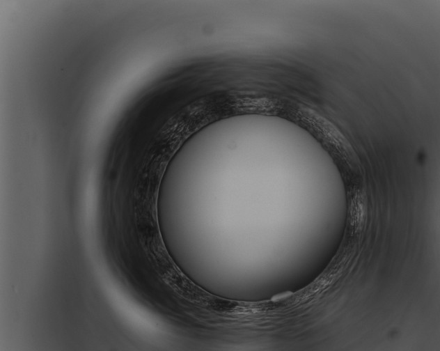 X0000097960764200804011658