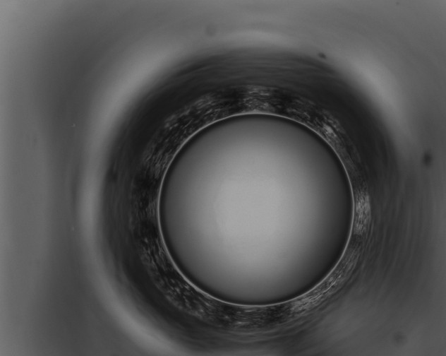 X0000097960765200804011658