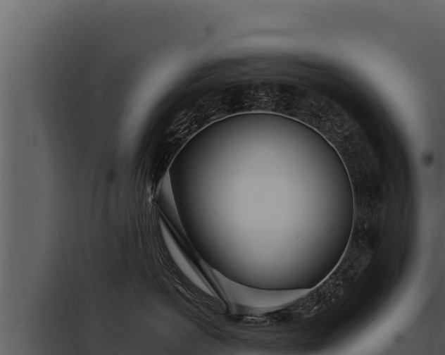 X0000097960766200804011658