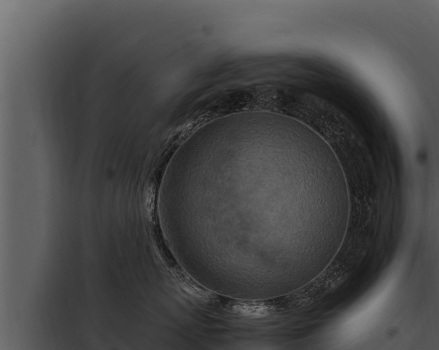 X0000097960767200804011658