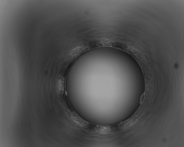 X0000097960768200804011658