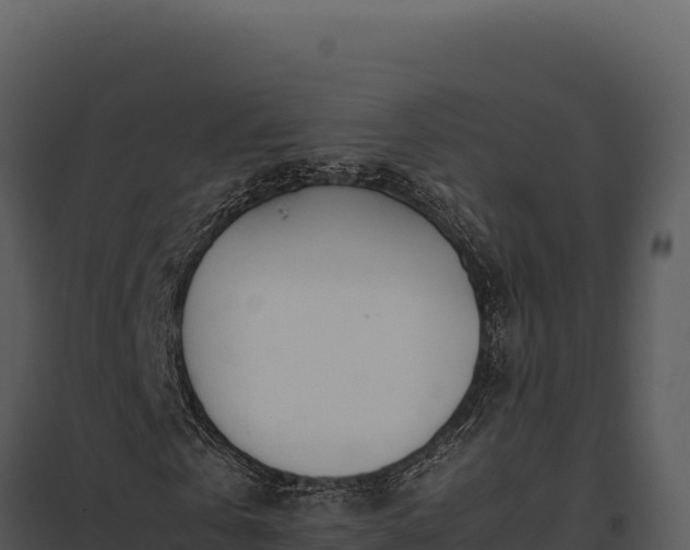X0000097960769200804011657