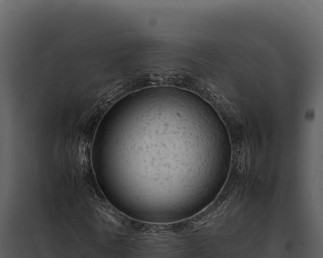 X0000097960770200804011657