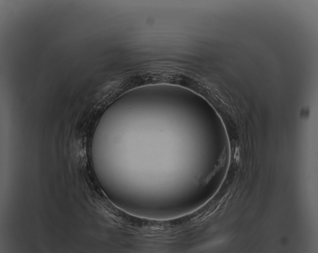 X0000097960771200804011657