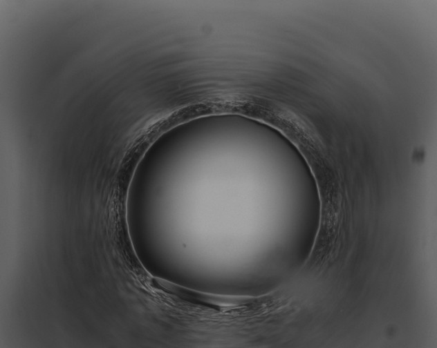 X0000097960773200804011657
