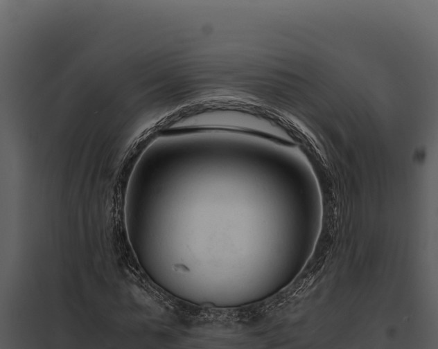 X0000097960775200804011657