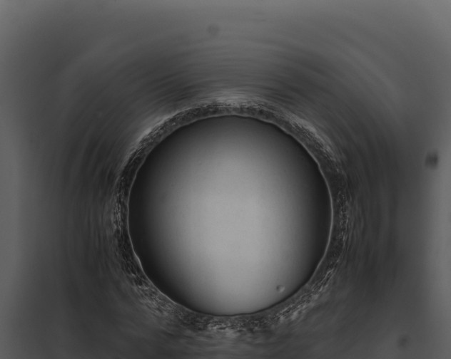 X0000097960776200804011657