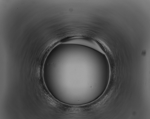 X0000097960777200804011657