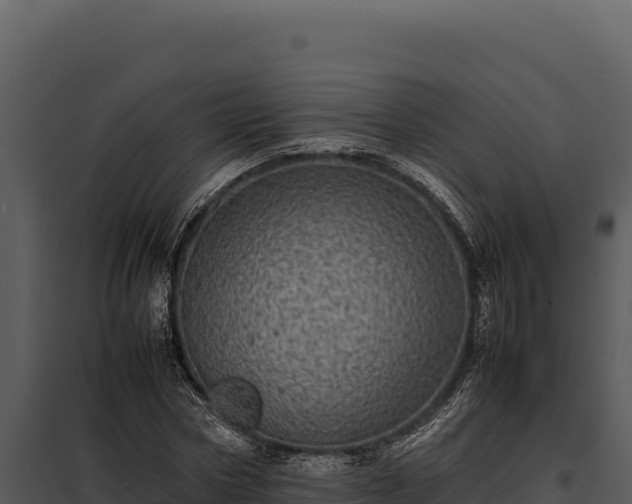 X0000097960778200804011657